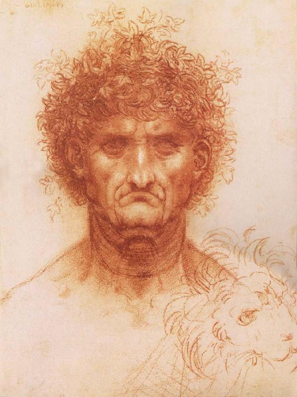 LEONARDO da Vinci Buste one frontal to seeing man and head of a Lowen Sweden oil painting art